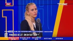 Punaises de lit : "Rien à voir avec la propreté !"