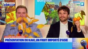 Le Café des Jardiniers: le kaki, un fruit importé d'Asie