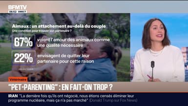 Pet-parenting: est-ce qu'on en fait trop pour nos animaux ? 
