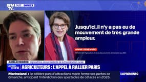 Colère agricole: "Ça fait plus d'un an que ça dure, nous, on veut des garanties", affirme Amélie Rebière (Coordination rurale)