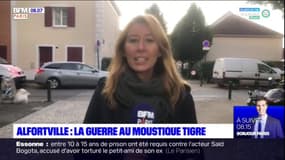 Alfortville: la guerre au moustique tigre après la découverte d'un cas de dengue