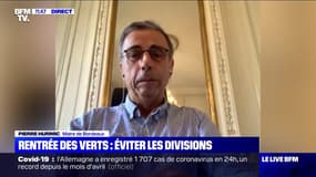 Rentrée des Verts: éviter les divisons - 20/08