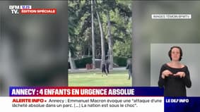 Attaque au couteau à Annecy: l'agresseur filmé par un témoin sur les lieux du drame