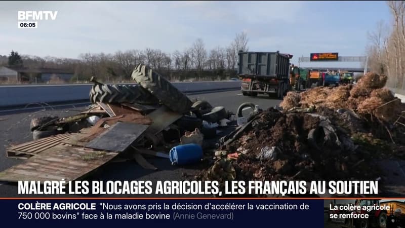 "Ça me semble important de soutenir les agriculteurs": les Français au soutien des 2.500 agriculteurs mobilisés ce mardi dans toute la France