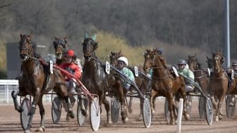 Les pronos hippiques du mercredi 1er novembre 2023