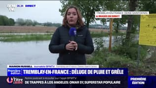 Un épisode de grêle violent a touché la ville de Tremblay-de-en-France, en Seine-Saint-Denis
