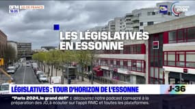 Candidats, programmes... Tour d'horizon en Essonne à 10 jours des législatives