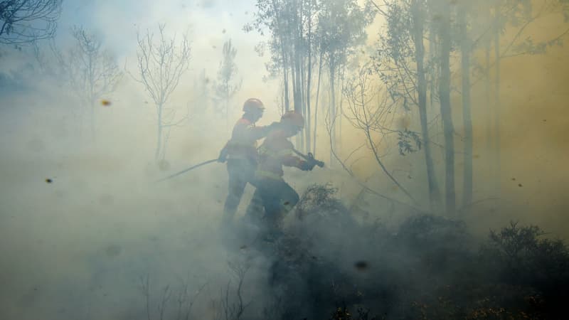 Des pompiers qui luttent contre le feu au Portugal le 20 juin 2017