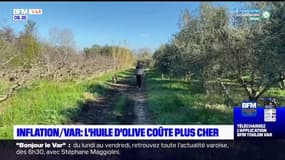 Var: avec l'inflation, l'huile d'olive coûte plus cher