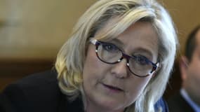 La présidente du FN Marine Le Pen, lors d'une conférence de presse à Paris, le 7 avril 2016