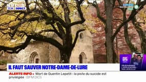Alpes-de-Haute-Provence: un projet pour sauver l'abbaye Notre-Dame-de-Lure