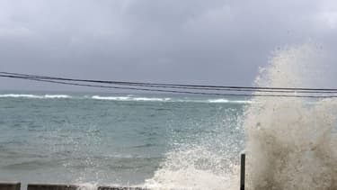 De la cocaïne s'échoue sur les plages
