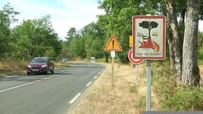 Gironde: malgré la prévention, les départs de feu se produisent chaque année