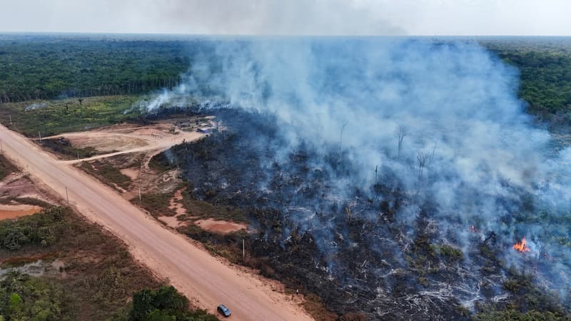 Brésil: les feux de brousse éteints dans l'État de Sao Paulo, des milliers d'hectares brûlés