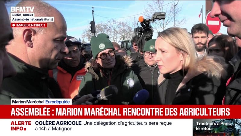 Colère des agriculteurs: Marion Maréchal appelle à la suspension de la contribution de la France à l'Union européenne