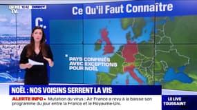 Couvre-feu, confinement: comment les pays européens s'organisent à Noël? 