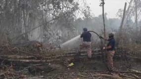 Malaisie: les images aériennes de fumées qui menacent la population et la forêt tropicale  