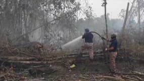 Malaisie: les images aériennes de fumées qui menacent la population et la forêt tropicale  