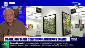 Strasbourg: 30.000 personnes attendues au Star-art 2022 