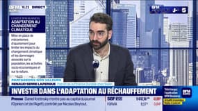 Ces valeurs pour adapter son portefeuille au réchauffement climatique - 08/01