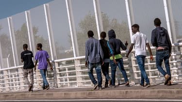 Des migrants près de Calais, le 8 septembre 2016.