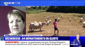 Sécheresse : 64 départements en alerte (2/2) - 28/07