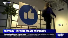 Facebook: les données personnelles de plus de 530 millions d'utilisateurs rendues publiques
