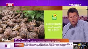 La solution RMC : Louer sa maison, partir à la ferme... tout pour des vacances sans se ruiner - 25/05