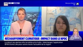 Nord-Pas-de-Calais: quel impact du réchauffement climatique?