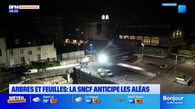 Arbres et feuilles: la SNCF anticipe les aléas de l'automne en Normandie