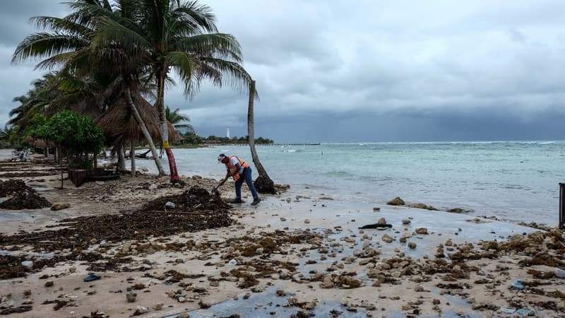 En cas de tempête causant des dégâts aux récifs, l’assureur Swiss Re s’engage à payer pour des réparer des dommages évalués entre 25 à 70 millions de dollars par an.