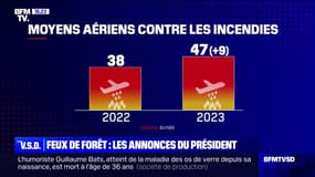 Feux de forêts: les annonces d'Emmanuel Macron