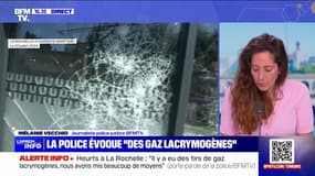 La Rochelle: 5.000 personnes ont manifesté contre les mégabassines ce samedi, dont 400 "éléments radicaux"