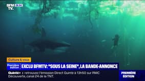 "Sous la Seine" bientôt sur Netflix: comment un requin va semer la terreur dans les eaux de Paris