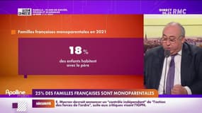 L’info éco/conso du jour d’Emmanuel Lechypre : 25% des familles françaises sont monoparentales - 14/09