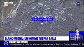 Seine-Saint-Denis: un homme tué d'une balle dans la tête en bas de chez lui