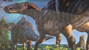 Ugrunaaluk kuukpikensis, le nouveau dinosaure découvert 