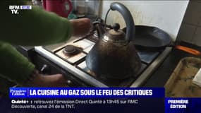 La cuisine au gaz sous le feu des critiques, à cause notamment de la pollution au dioxyde d'azoteLa cuisine au gaz sous le feu des critiques, à cause notamment de la pollution au dioxyde d'azote