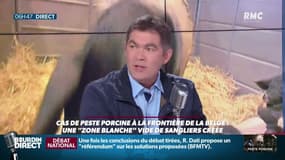 Paul Auffray, président de la fédération nationale porcine: "C'est une maladie qui vient d'Afrique. Elle tue les cochons et les sangliers en moins de 72 heures. La maladie n'est pas transmissible à l'homme."