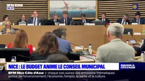 Nice: la question du budget anime le dernier conseil municipal