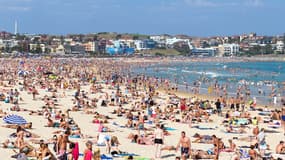 Le thermomètre a atteint les 45,8 degrés Celsius dans l'après-midi, alors que l'Australie connait un été austral particulièrement chaud.