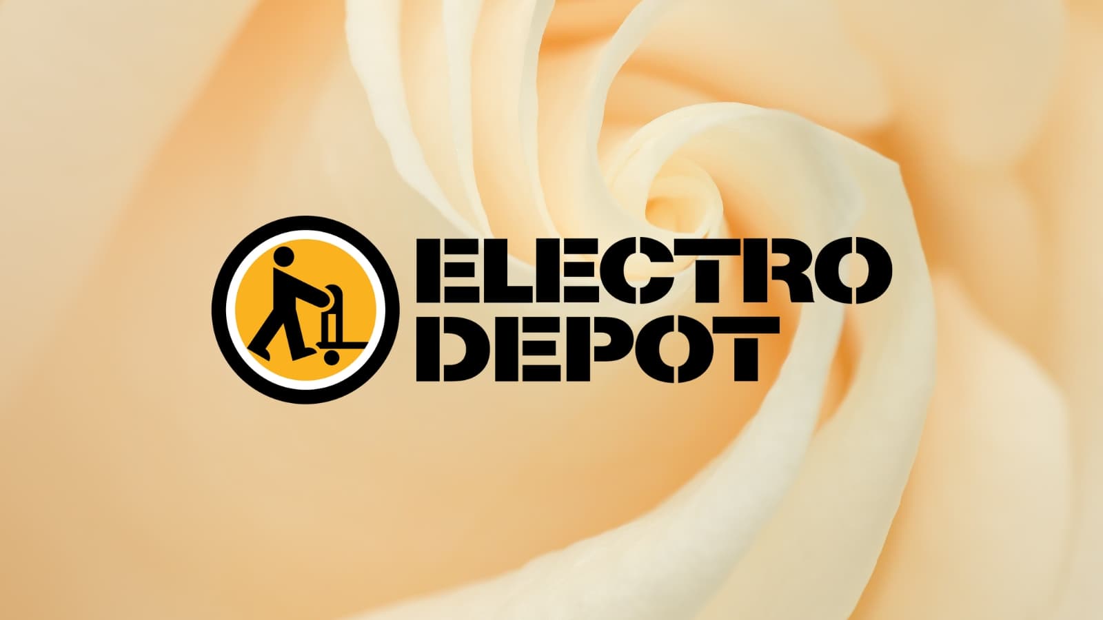 CE FOUR FAIT PARTIE DES ARRIVAGES ELECTRO DEPOT : SON PRIX EST DINGUE