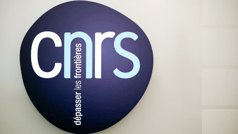Logo du CNRS (Photo d'illustration)