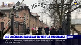 Alsace: 150 lycéens d'Haguenau en visite au camp d'Auschwitz