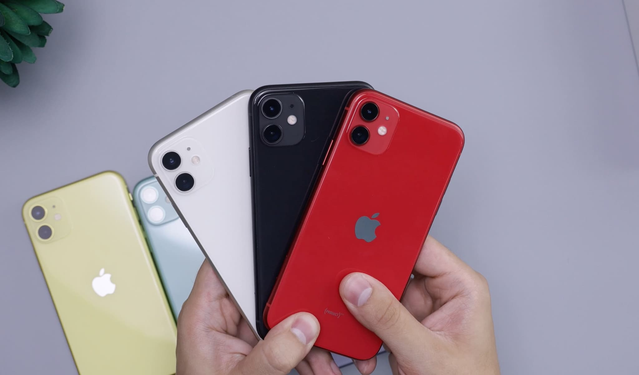 Le smartphone est à petit prix !