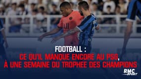Football : Ce qu'il manque encore au PSG