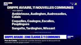 Grippe aviaire: la zone de contrôle élargie à 11 communes supplémentaires