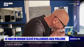 Var: le département particulièrement impacté par les allergies?