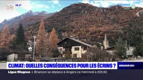 Hautes-Alpes : Quelles conséquences du changement climatique dans les Écrins ?