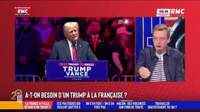 Un Trump à la française: "Toutes les nations du monde devraient en avoir un" atteste Antoine Diers
